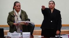 Renuncia Claudia Suárez, secretaria ejecutiva del INE: Guadalupe Taddei