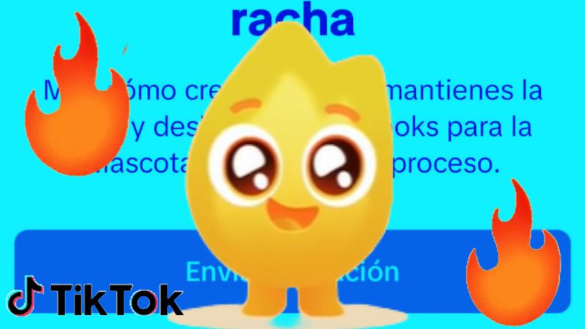 ¡Hola, mascota de racha! Aprende a activar esta nueva herramienta de TikTok y no dejes que el "fueguito" muera