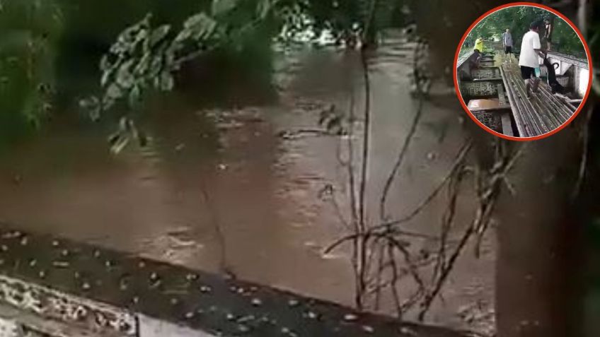 Perrito es arrojado a un río por diversión y recibe justicia inmediata | VIDEO