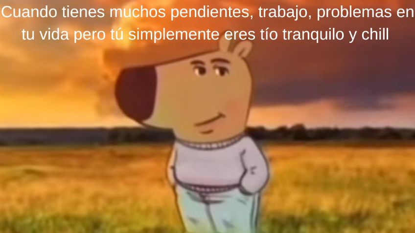 "Tío tranquilo y chill”, este es el significado del meme más viral del momento