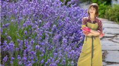 El truco con la poda de la lavanda para que estalle de flores