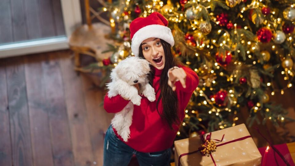 Los 3 mejores outfit para perros en Navidad; el tercero seguro lo amarás. Fuente: Freepik