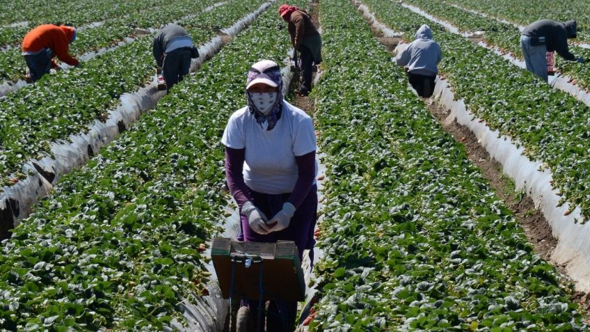 Expulsión de migrantes, una promesa muy cara