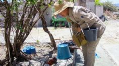 Siguen contagios de dengue en Puebla, van 4 mil 486 casos acumulados: Secretaría de Salud