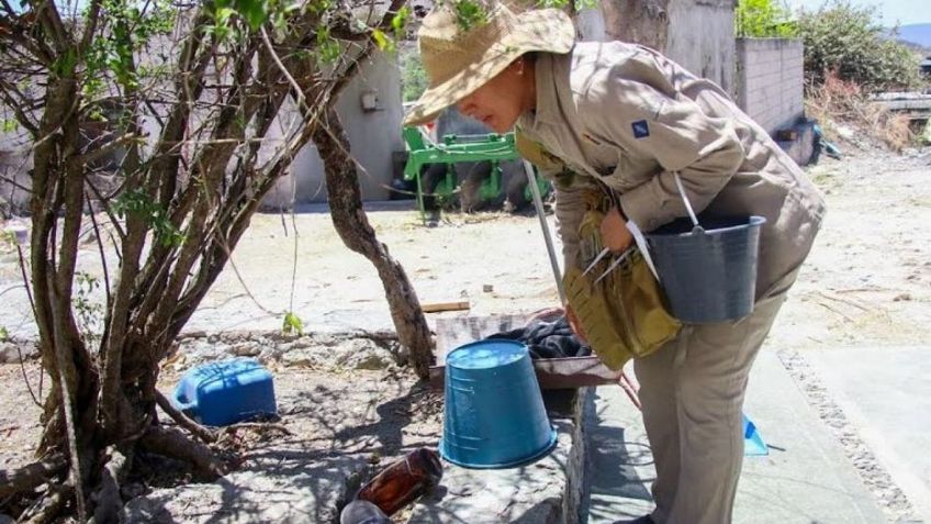 Siguen contagios de dengue en Puebla, van 4 mil 486 casos acumulados: Secretaría de Salud