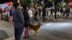 Rescate de animales de albergue en la colonia Narvarte termina en riña con las autoridades; vecinos niegan maltrato