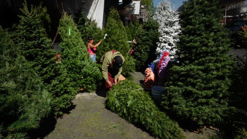 ¿Cuánto cuesta un árbol de Navidad este 2024 en el Mercado de Jamaica de la CDMX?