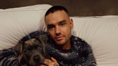 Liam Payne habría caído por el balcón al intentar escapar del hotel, revelan supuestas pruebas