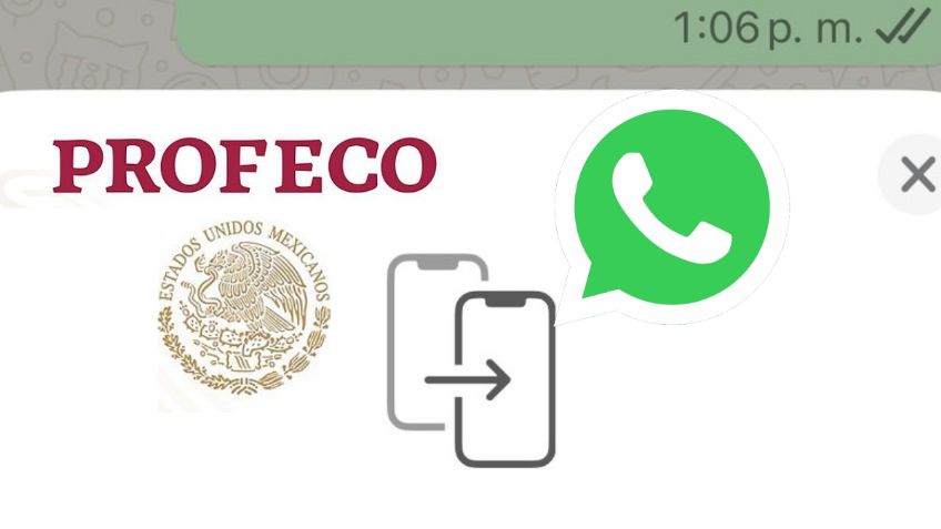 Profeco: estas son las recomendaciones para no caer en fraudes por WhatsApp