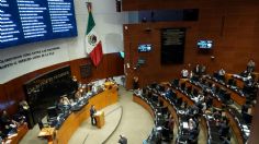 Avanza en el Senado reforma con respecto a la prisión preventiva oficiosa