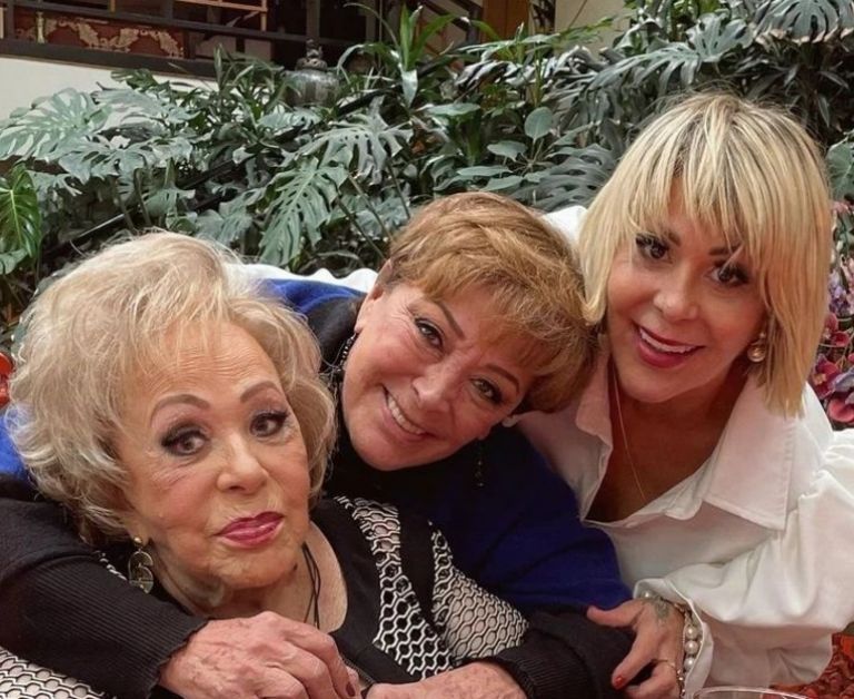 silvia pinal hijos quienes son y a qué se dedica