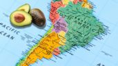 Foto ilustrativa de la nota titulada: Chile quedó en el recuerdo: este es el país de Sudamérica que más aguacate exporta en el mundo