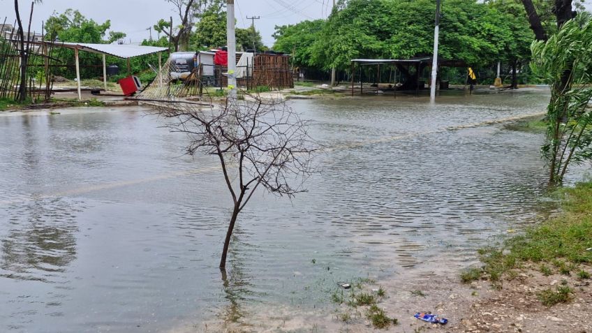 Termina la temporada de Ciclones Tropicales en el Atlántico, Quintana Roo sale bien librado