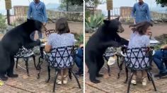 VIDEO: Graban momento en que un oso ataca a una mujer en restaurante de Nuevo León