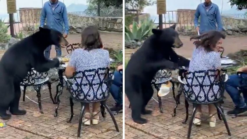 VIDEO: Graban momento en que un oso ataca a una mujer en restaurante de Nuevo León