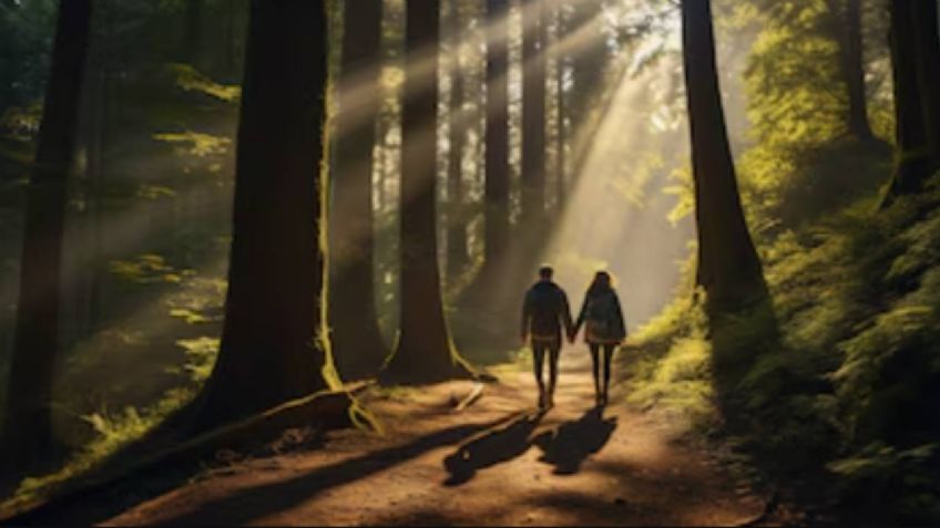 Abusan de mujer cuando sendereaba con un amigo en el Parque Nacional Los Dinamos, Magdalena Contreras