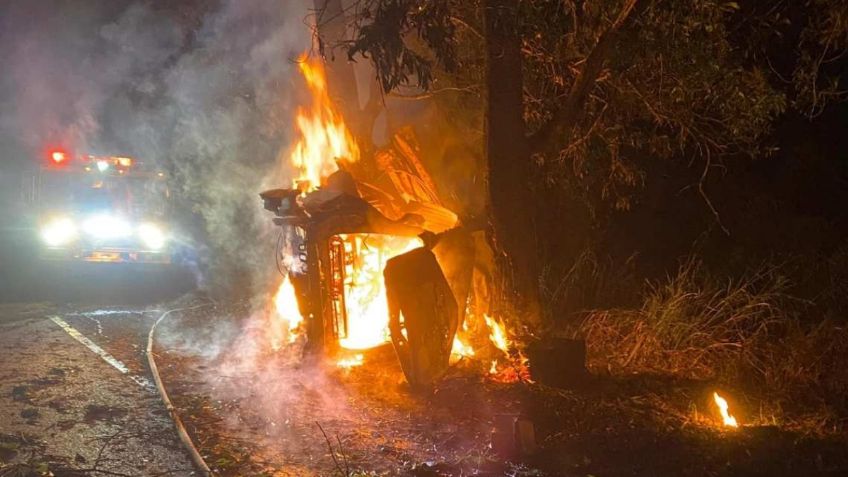 "Eran amigos": identifican a 4 jóvenes que murieron calcinados tras chocar su camioneta contra un árbol