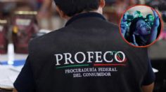 Profeco respalda a personas afectadas por cancelación de diversos eventos