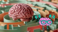 La ciencia desvela las 5 mejores técnicas para incrementar el poder mental