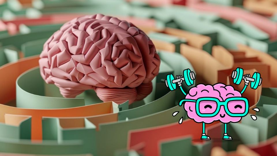 Estimula las funciones cognitivas de tu cerebro.