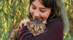 Qué tipo de dueño de gato eres, según la ciencia