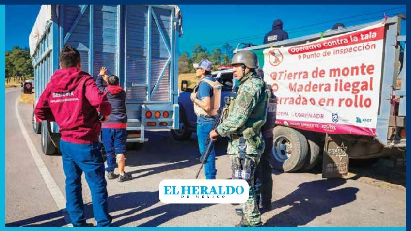 Autoridades locales y federales instalan filtro contra tala ilegal de árboles en la CDMX