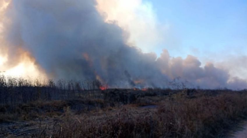 Se incendian 50 hectáreas de pastizales en Tecámac, Estado de México