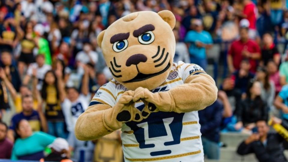 Pumas está listo para recibir a Monterrey en CU