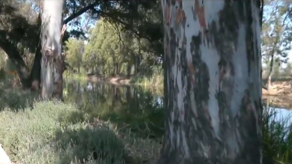 El hallazgo del cuerpo se reportó en el Parque Ecológico Xochimilco.