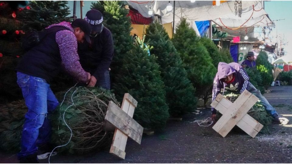 Desde Bazares hasta centros comerciales, acá unas opciones para comprar el árbol