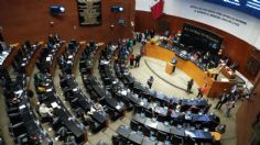 Comisionada de presupuesto niega recorte al Senado; responde a controversias