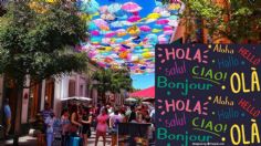 Estas son las lenguas indígenas y extranjeras que se hablan en Guadalajara