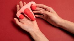 ¿Cuáles son los mejores alimentos para consumir, según la fase del ciclo menstrual en la que te encuentres?