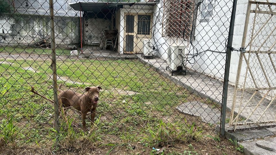 La intervención de otros familiares evitó una tragedia mayor.