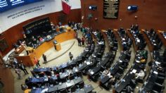 Senado avala reformas a las leyes secundarias en materia de juicios de amparo