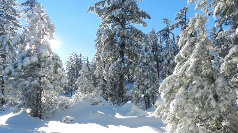 Durante esta temporada, los paisajes nevados son una auténtica belleza.