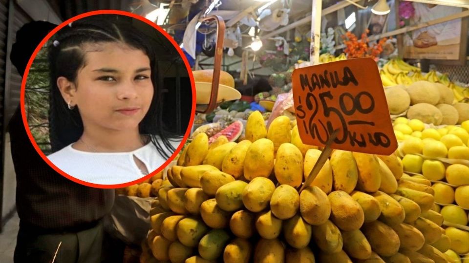 La niña desapareció tras salir a comprar mangos para su familia.