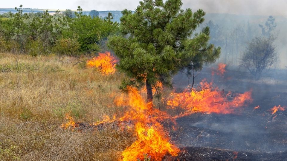 Los vientos de Santa Ana pueden causar incendios.