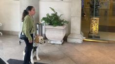 Hotel ofrece disculpa a Sari por negarle la entrada con su perro guía: "nuestro compromiso es mejorar"