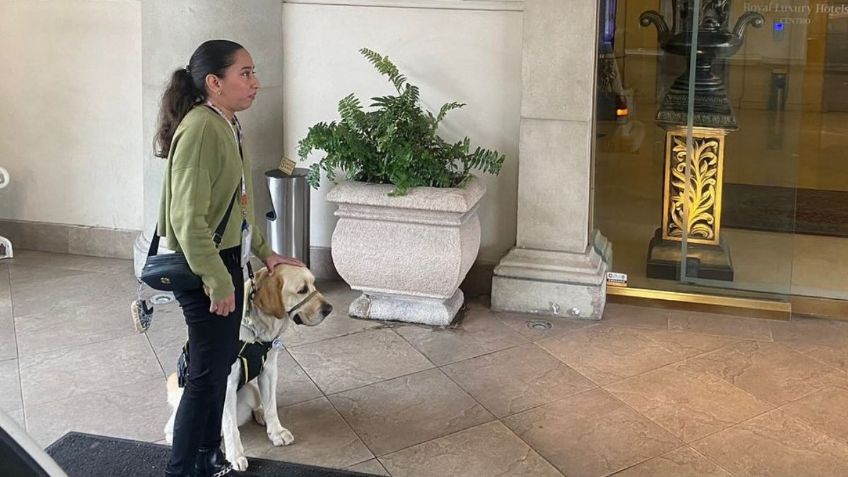 Hotel ofrece disculpa a Sari por negarle la entrada con su perro guía: "nuestro compromiso es mejorar"