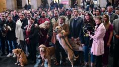 Arranca “Colecta de amor por los que no tienen voz”; Delfina Gómez y Club Toluca promueven la adopción de animales