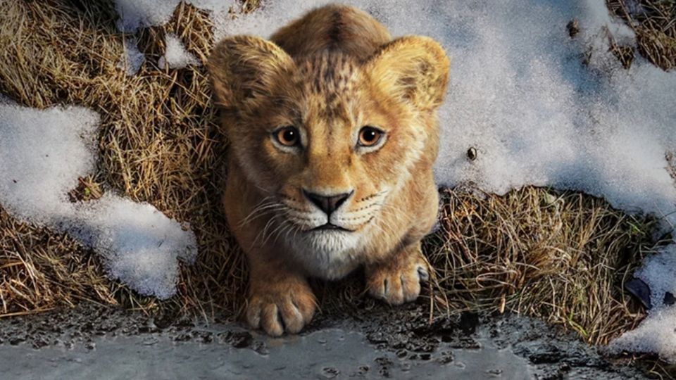 Mufasa: El Rey León se estrena este fin de semana en todo el país.