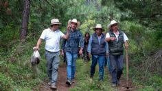 Protección para ambientalistas, un compromiso del PVEM en Edomex