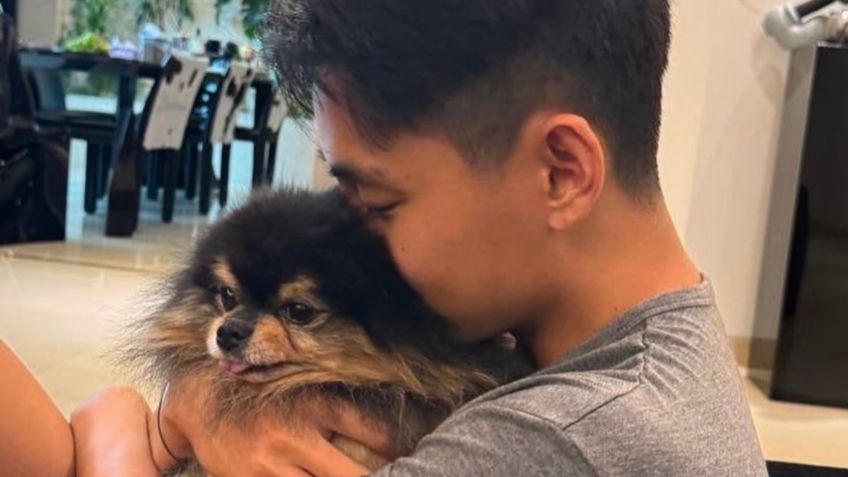 Muere Yeontan, el perrito pomerania de V de BTS y es despedido en redes sociales