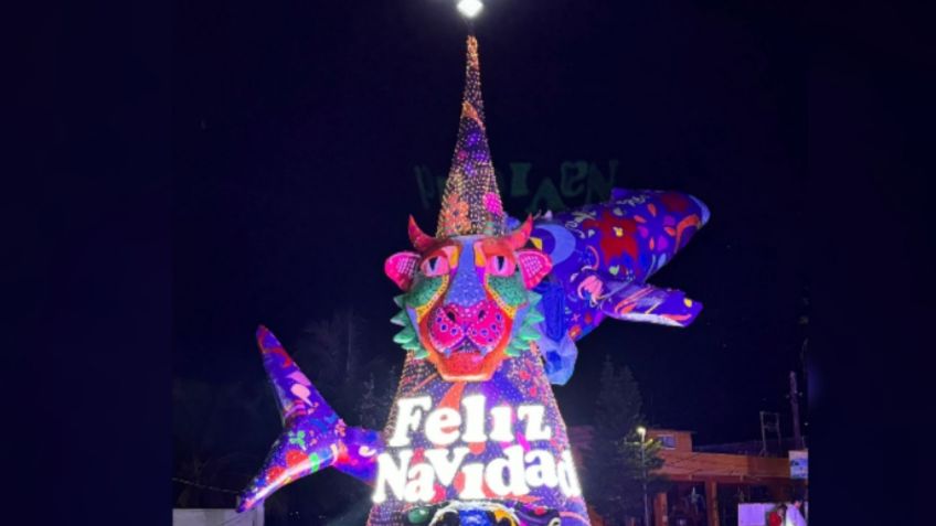 Héctor Santana enciende en Bucerías majestuoso árbol navideño que celebra la grandeza de Nayarit