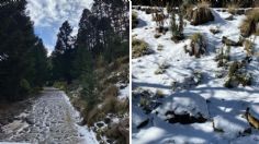 Primera nevada en Cofre de Perote; implementan operativo de seguridad por arribo de visitantes | FOTOS