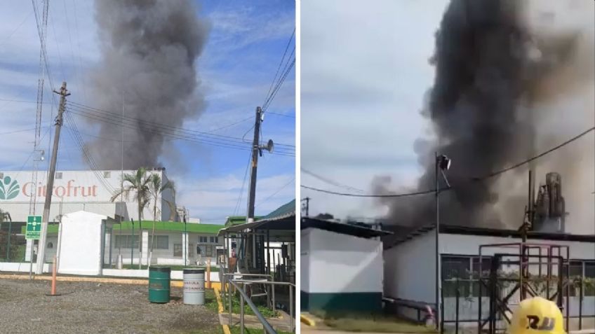 Explota empresa juguera "Citofrut" en San Rafael, Veracruz | VIDEO