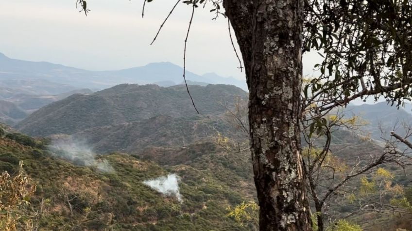 Familias huyen de pueblos minados en Michoacán; otras desaparecen