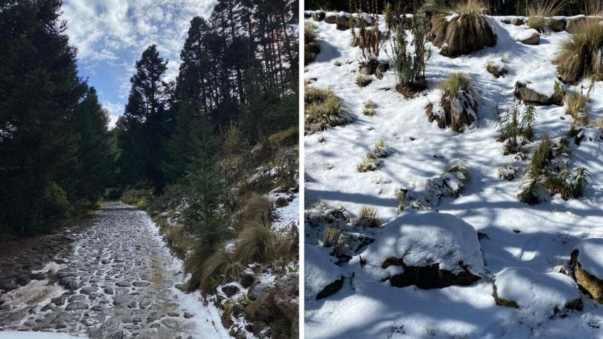 Primera nevada en Cofre de Perote; implementan operativo de seguridad por arribo de visitantes | FOTOS