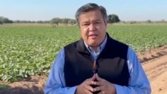 Secretaría del Bienestar entrega apoyos a productores agrícolas en Sonora